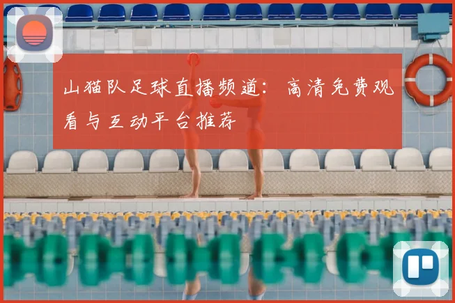 山猫队足球直播频道：高清免费观看与互动平台推荐