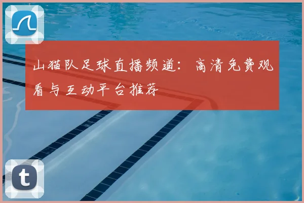 山猫队足球直播频道：高清免费观看与互动平台推荐