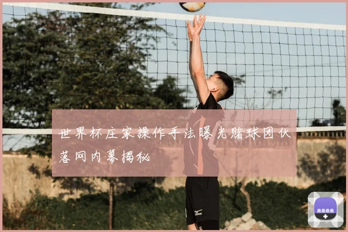 世界杯庄家操作手法曝光赌球团伙落网内幕揭秘