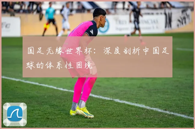 国足无缘世界杯：深度剖析中国足球的体系性困境