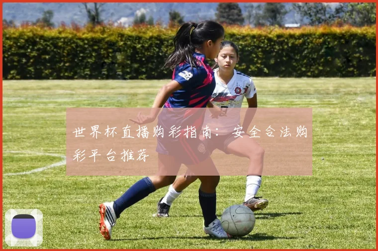 世界杯直播购彩指南:安全合法购彩平台推荐