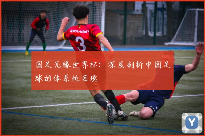 国足无缘世界杯：深度剖析中国足球的体系性困境