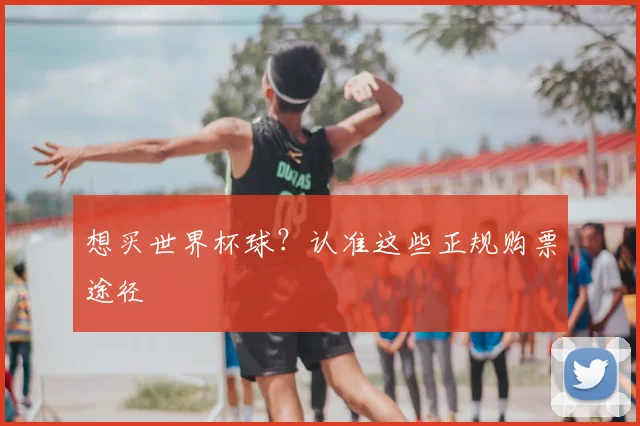 想买世界杯球?认准这些正规购票途径